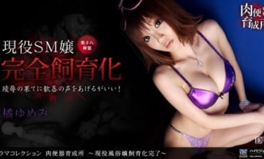 1pon 060910_852 Yumemi Tachibana 肉食动物培训中心 - 已完成活跃的性工作者繁殖。