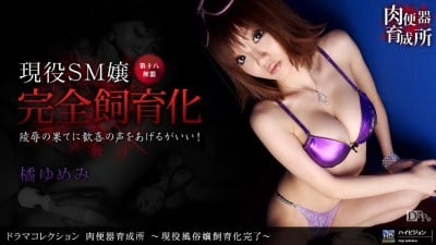 1pon 060910_852 Yumemi Tachibana 肉食动物培训中心 - 已完成活跃的性工作者繁殖。