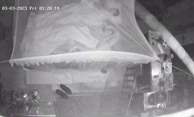 2023最新流出黑客 破解家庭攝像頭偷拍啪啪合集 小哥站著無套搞媳婦逼逼精液流了一地 (1)