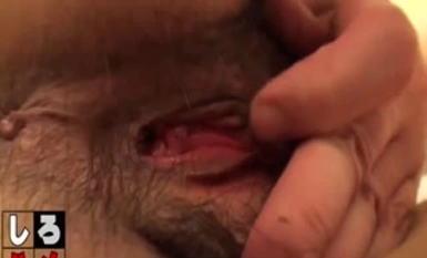 100 orang amatur dirakamkan dalam tempoh lima tahun yang lalu + 4 karya yang belum dikeluarkan + model amatur hantu yang tidak muncul dalam karya ini – 100 orang semuanya berkumpul bersama-sama sekali gus!