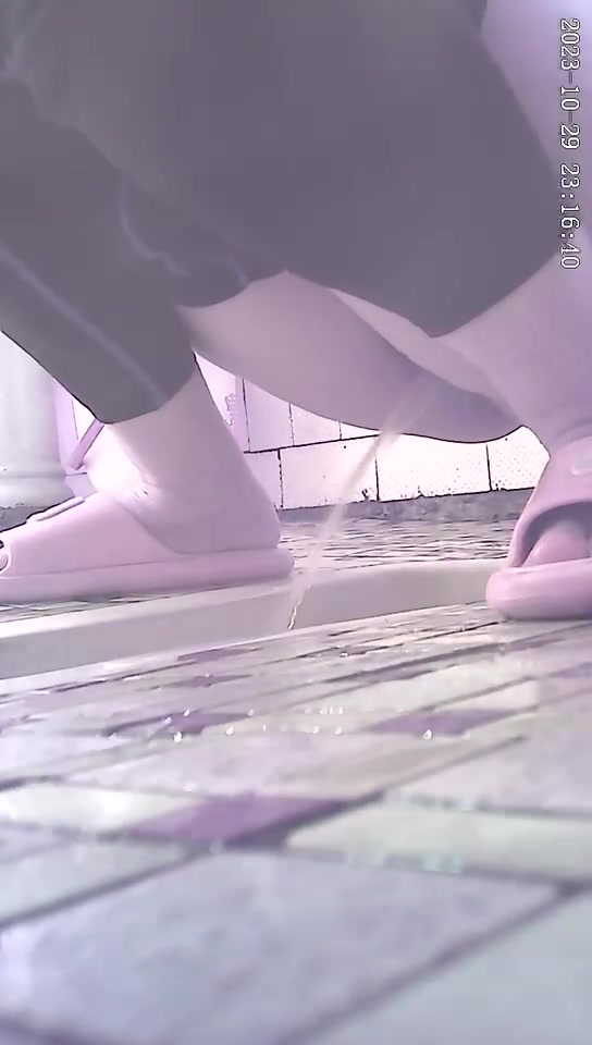 Toilet secret camera (2)