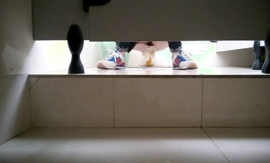 B'er, cô gái mới vào công ty, có một con mèo khá mềm và một con mèo trắng.