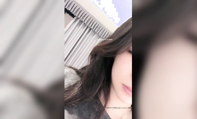 インモダブコ（ゼラス、マイマイ）コレクション (17)