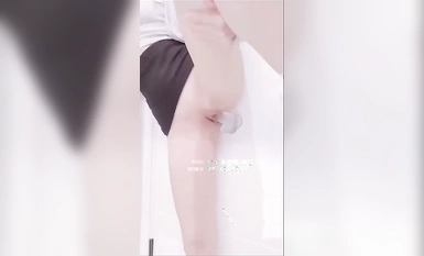 ストレッチ・インサート・コレクション