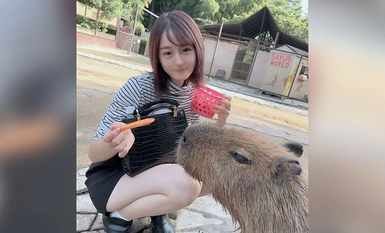 FC2-PPV-4265371 First time shot and face to face! This is a 3 days only! This cute college girl is a miniature cutie, and she's taken deep into the woods for an outdoor obscene oral ejaculation! She takes him to a secret room and gets fucked twice inside 