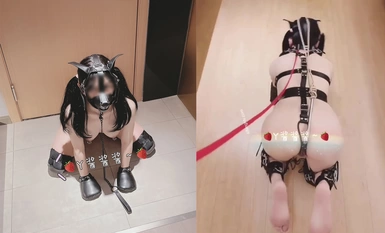 Twitter Laurie 〖Y Sauce Sauce 〗 cute humanoid little bitch by the master father to teach the tender little pussy by the big meat stick hard to dry pure contrast visual super strong!