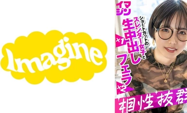 [Mosaic destruction]374IMGN-053 Hal