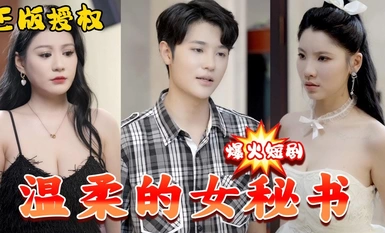 复仇之温柔的女秘书