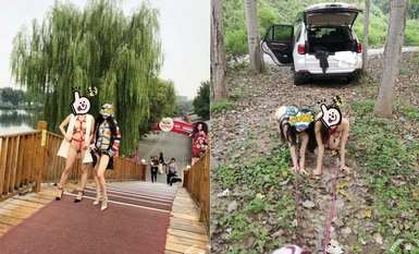 The latest training video of the top training master "Emperor Jinling S", Shuangfei sisters are exposed in front of others at the flower mall for training. The goddess in the eyes of others is just a little bitch in front of the sponsor (2)