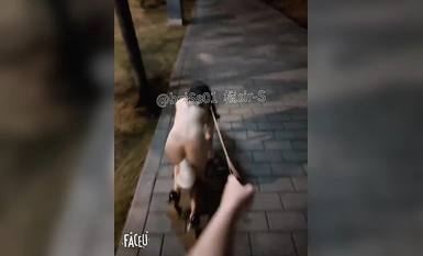 专约极品大神『橘sir-S』深夜路边逮到一只流浪小母狗，从路边到公园溜了一圈，不断的躲避着来往的行人，带到一处僻静的角落，勒着脖子狠狠的后入！