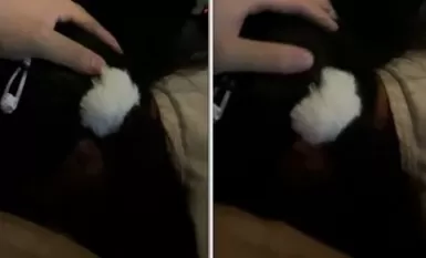 Gadis cantik dan terdedah Lolita "Meow Meow" di luar 01